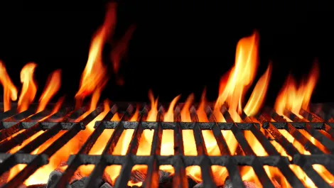 Grill'd and Adyen serve up a winning combo