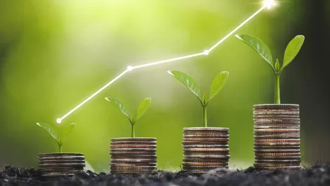 Pearler secures AUD $330K in funding for AI platform