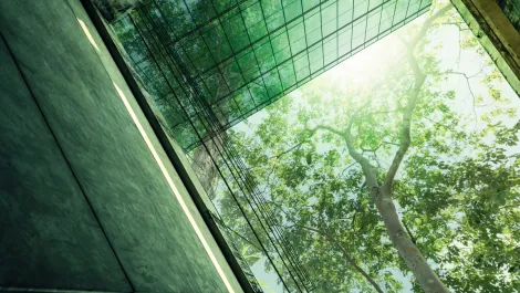 Regulation will see organisations change ESG reporting