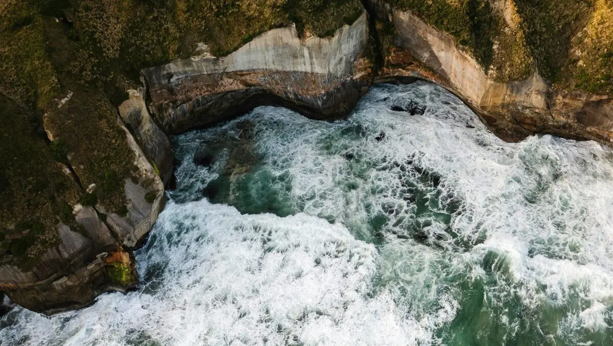 Can the private sector help restore our marine environment?