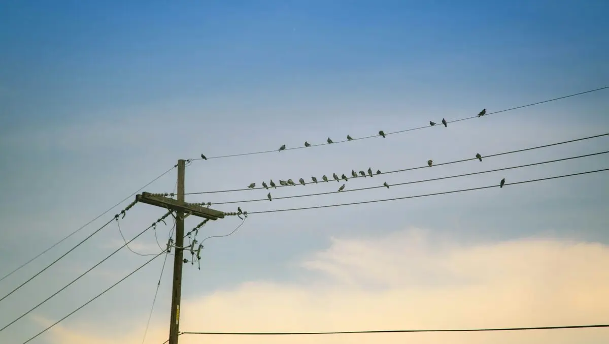 Commerce Commission urged to promote energy efficiency