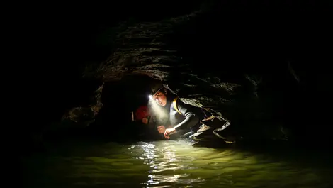 Satellite upgrade brings better access at Waitomo sites
