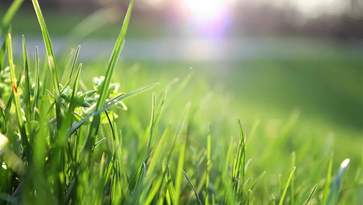 Roundup may be put to the test again
