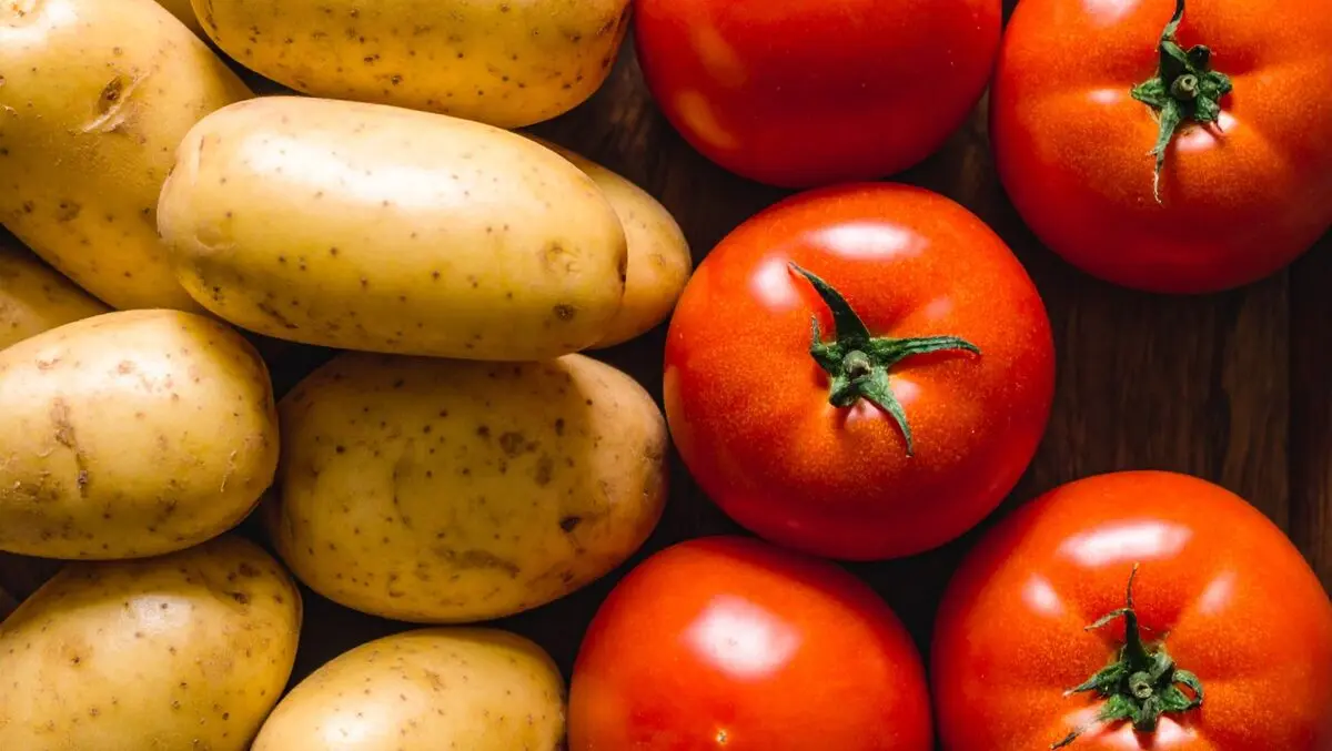 You say potato I say tomato