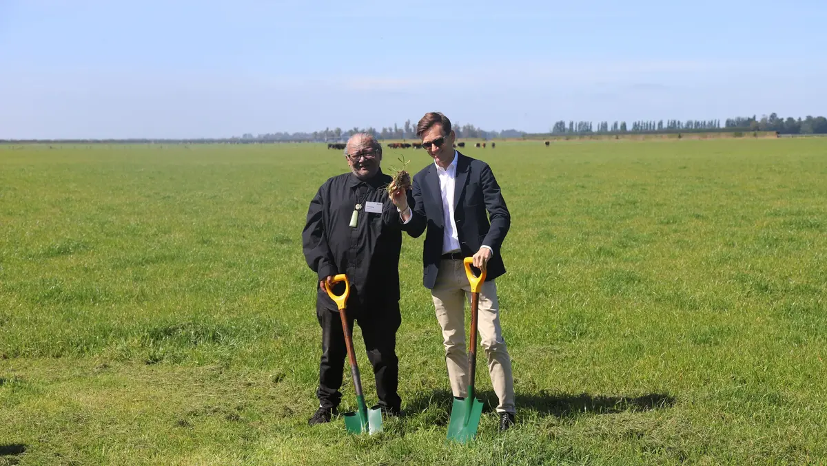 Canterbury farmer branches out as solar farm takes root