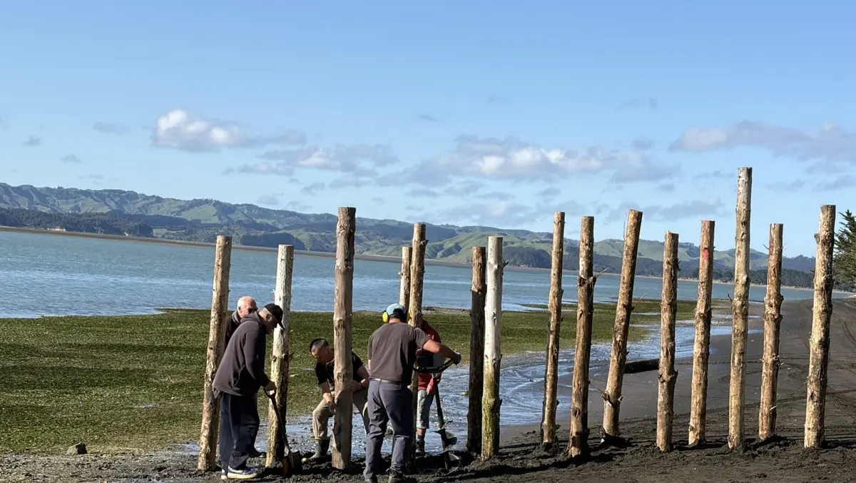 'Responsibility to protect': Kāwhia trust blocks vehicle access to beach