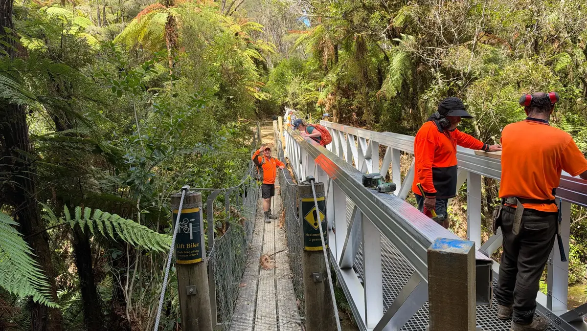 Mangapurua Track on Great Ride reopens with seven new bridges