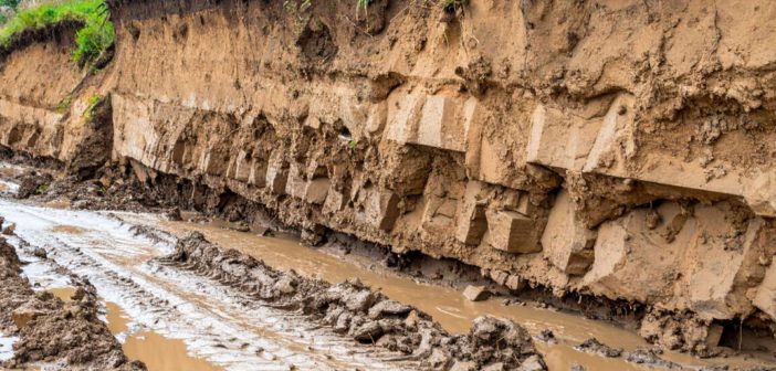 How are cities responding to extreme weather?