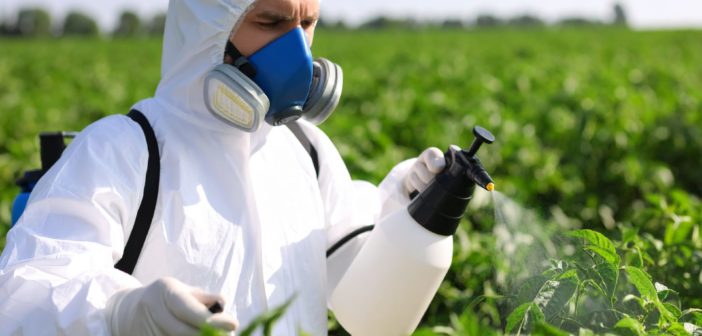 Kicking the pesticide can down the road