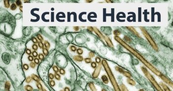 Researchers have created new viruses using AI. The hope is that the tech can be used to create targeted phages ** — that take out problematic bacteria — selectively killing an antibiotic-resistant strain infecting a person, for instance. However, “there is no sugarcoating the risks,” Tal and Jonathan Feldman wrote in The Washington Post