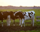 Using advanced technologies to understand methane emissions in the biogas industry