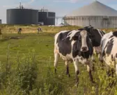 Time to address the elephant in the room — renewables