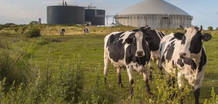 Time to address the elephant in the room — renewables