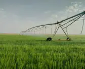 From Problem to Produce: Rethinking Sanitation in a World of Scarcity