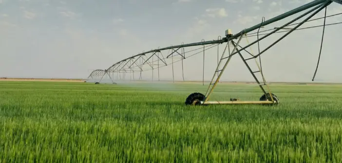 From Problem to Produce: Rethinking Sanitation in a World of Scarcity