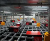 Faster, accurate and scalable fulfilment caters for demand