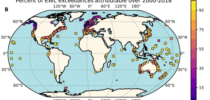 Australasia and the Pacific Islands  lead as rising tide sinks all coasts